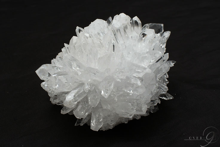 �ڵƲ� �徽���饹���� ��񡦻���ʻ���319g�ۥե��徽 �����ڥ᡼�����Բġ�