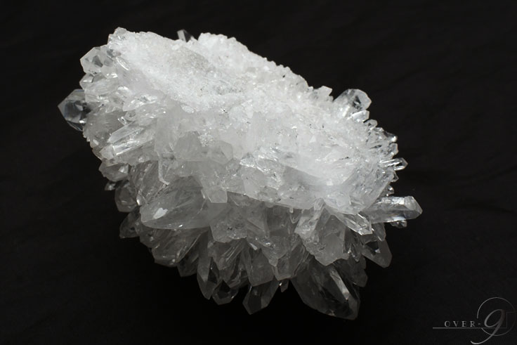 �ڵƲ� �徽���饹���� ��񡦻���ʻ���319g�ۥե��徽 �����ڥ᡼�����Բġ�