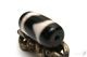 �ڹȼ뺽���ײ�ŷ���22mm��11mm�ۡڥ᡼���زġ�