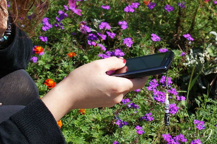 ��ʡ�ۥ��ȥ�åס����������������ʹ�ŷ��ڥ᡼���زġ�