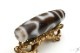 �ڸ�ʪ�¤�ۡ�Ϸ��ŷ�©����ŷ���41mm��11mm�ۡڥ᡼�����Բġ�