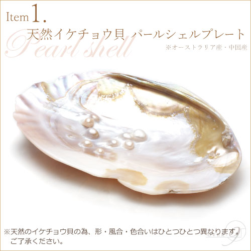 ھåȡۡڥ᡼Բġۿ徽졢ѡ륷롢徽ݥȡȥ󤵤