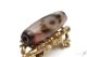 �ڹȼ뺽���ײ绰��ŷ���31mm��10mm�ۡڥ᡼���زġ�