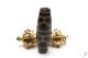 �ڸ�ʪ�¤�ۡ�Ϸ��ŷ�����Ĺ��ŷ���37mm��12mm�� �ڥ᡼���زġ�