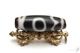�ڸ�ʪ�¤�ۡ�Ϸ��ŷ�©����ŷ���36mm��12mm�ۡڥ᡼�����Բġ�