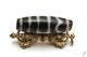 �ڸ�ʪ�¤�ۡ�Ϸ��ŷ�©����ŷ���36mm��12mm�ۡڥ᡼�����Բġ�