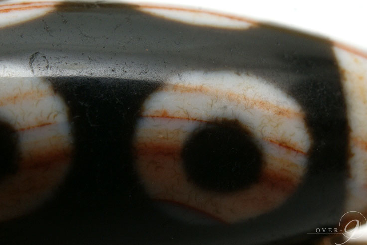 ڹȼ뺽Ȭŷ31mm13mmۡڥ᡼Բġ