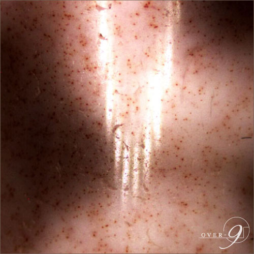 �ڸ���1���������Ƥ�ʤ���Ԥ����ѥ���ݥåȤ�¸�ߤ����� �ȼ뺽 ���ŷ�� �֥쥹��åȡ�