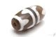 �ڸ�ʪ������� Ϸ�̿� �����ײ�ŷ�� ��20mm��10mm�õն���Ω��������������٤���ڥ᡼���زġ�