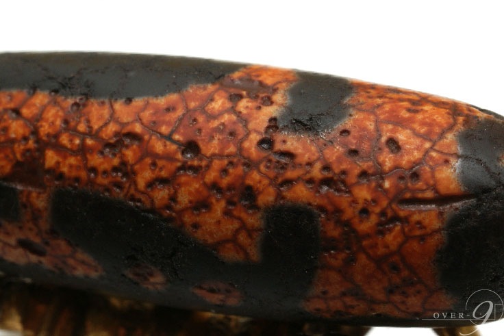 ����ζ�桡�дѲ�ŷ���38mm��13mm�ۡڥ᡼���زġ�