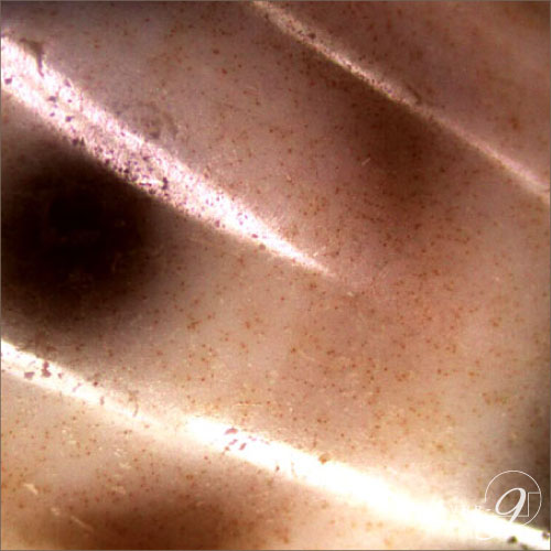 �ڸ���1���������Ƥ�ʤ���Ԥ����ѥ���ݥåȤ�¸�ߤ����� �ȼ뺽 ���ŷ�� �֥쥹��åȡ�