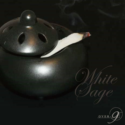 ̵�������ͥ��ƥ��֥���ꥫ��μ���ۥ磻�ȥ��������������