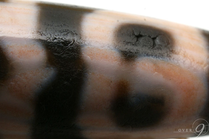 �ڹȼ뺽��ϡ��ˡ˹ŷ���48mm��12mm�ۡڥ᡼�����Բġ�