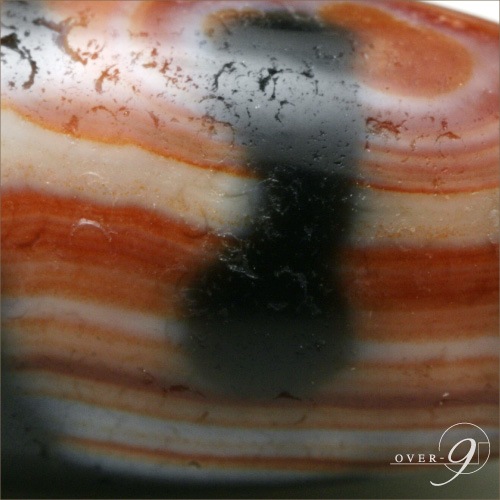 ��- Forever Love -���ȼ뺽 ����ŷ��߸ײ�ŷ�� �����֥쥹��åȡۡڥ᡼�����Բġ�