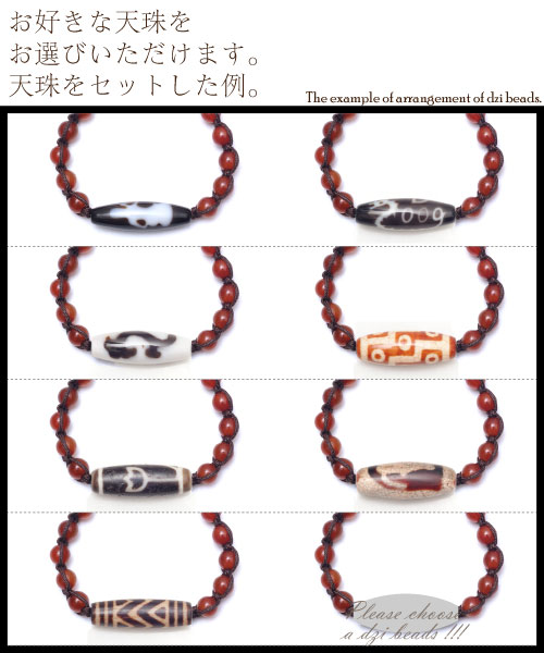 ���ߥ��������֥쥹��åȡ�CROCODILE��NO*10 �뺽Ϸ���м� 8mm(2)���ڥ᡼�����Բġ� ������������