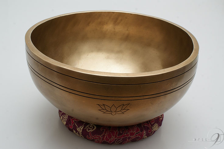 󥮥󥰥ܡ / C / եࡼܡ / ֥᥿ڥ᡼Բġۥ饯  襬 