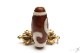 ���ζ��ŷ�������ŷ���40mm��16mm�ڥ᡼�����Բġ�