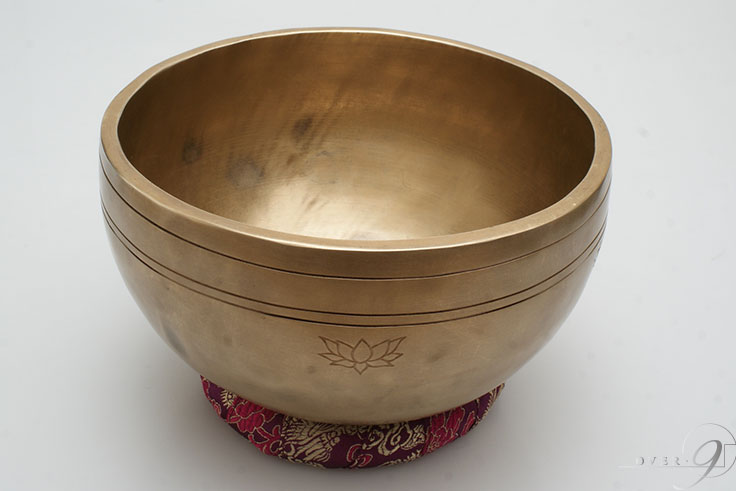 󥮥󥰥ܡ / D / եࡼܡ / ֥᥿ڥ᡼Բġۥ饯  襬 