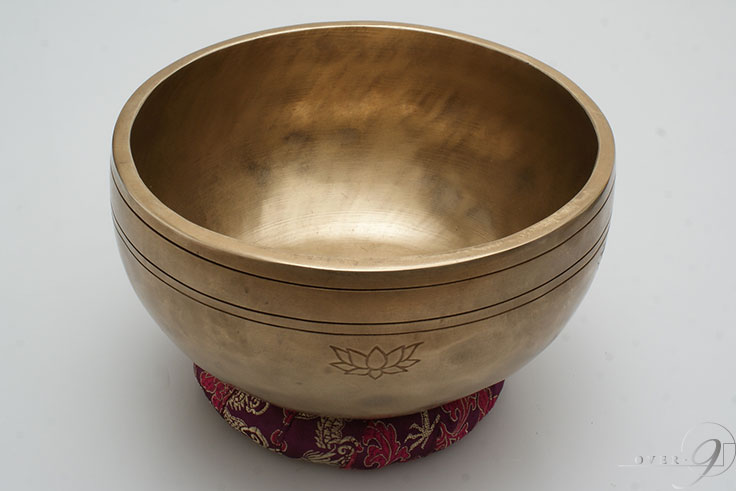 ���󥮥󥰥ܡ��� / F / �ե�ࡼ��ܡ��� / ���֥�᥿��ڥ᡼�����Բġۥ�饯��������� ���� �襬 ����