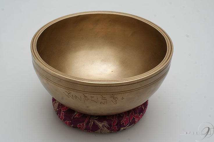 󥮥󥰥ܡ / G / եࡼܡ / ֥᥿ڥ᡼Բġۥ饯  襬 