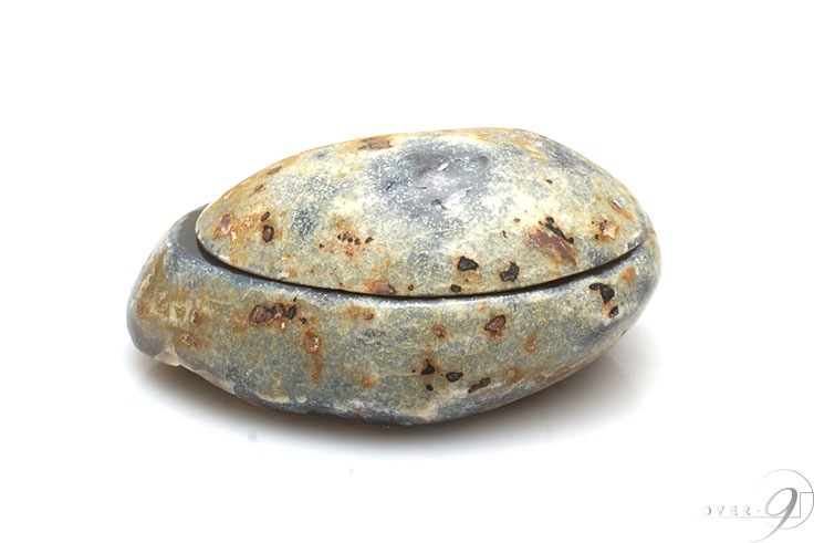 �ȥ쥸�㡼��Υ�����959g���뺽������դ��ڥ᡼�����Բġ�