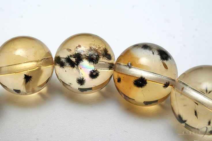 ޥͥȡ󡡥ȥ󡡥֥쥹å ŷ ѥȡڥ᡼Բġ