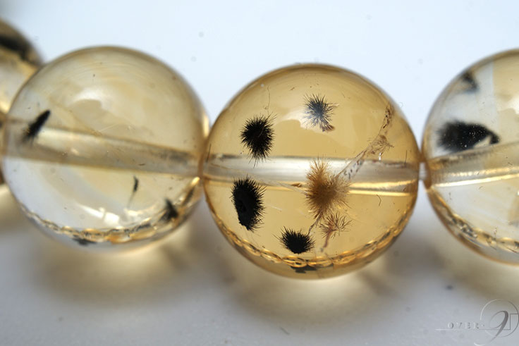 ޥͥȡ󡡥ȥ󡡥֥쥹å ŷ ѥȡڥ᡼Բġ