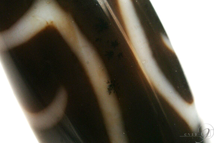 ڹ뺽ŷ˲Ļŷ38mm13mmۡڥ᡼Բġ