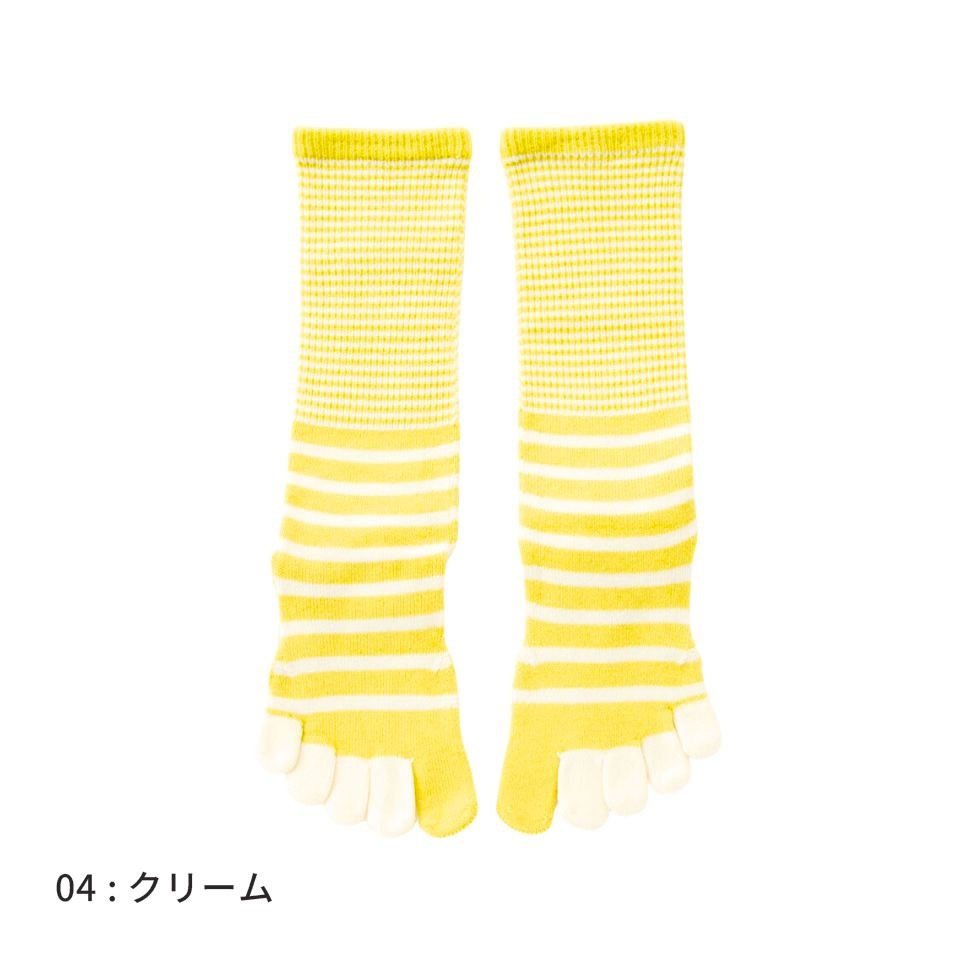 knitido ベーシック・エアークッション バイカラーボーダー ハイクルー 5本指ソックス 23-25cm