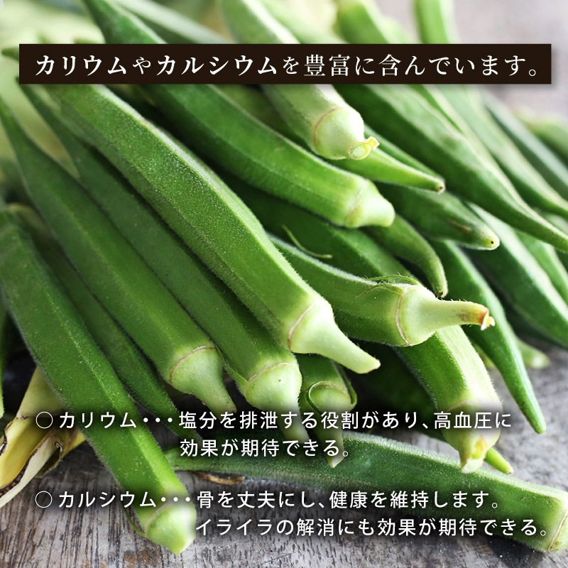 【バルク】おくらチップス 2.7kg 業務用 塩味