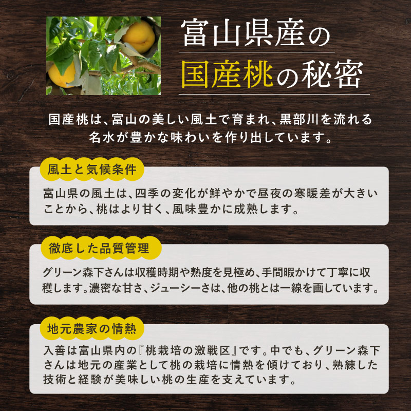 【季節数量限定】もりしたさん家の桃 25g 3袋セット ドライフルーツ
