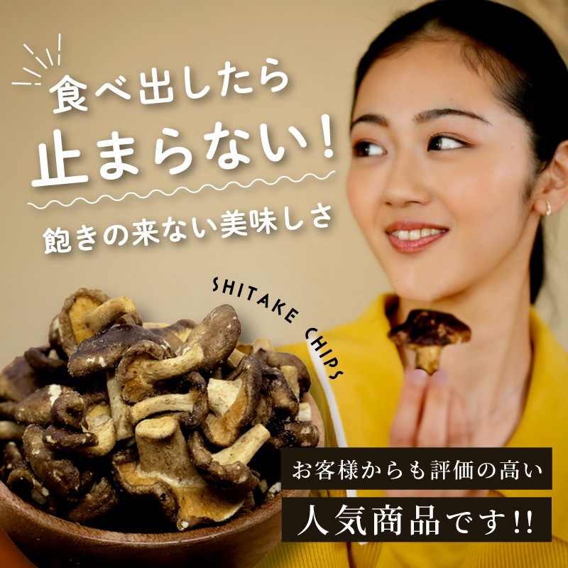しいたけチップ 塩味 40g 単品 しいたけチップス