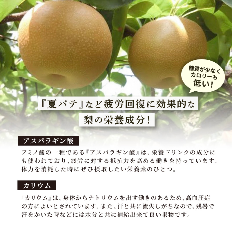 【季節数量限定】おいちゃん家の呉羽梨 25g 単品 幸水 国産ドライフルーツ