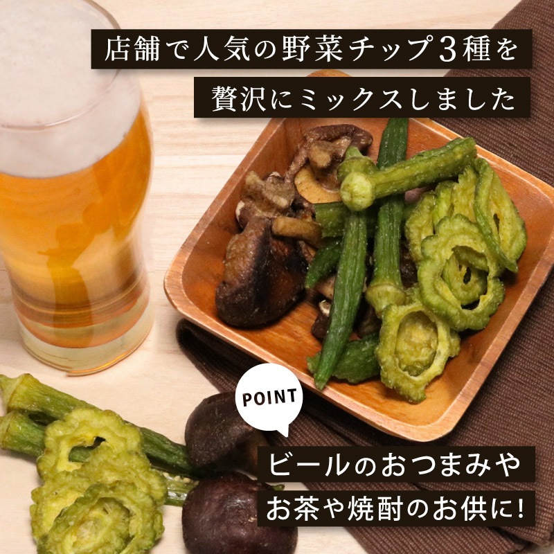 野菜チップミックス 65g 3袋セット 合計195g しいたけ オクラ ゴーヤー