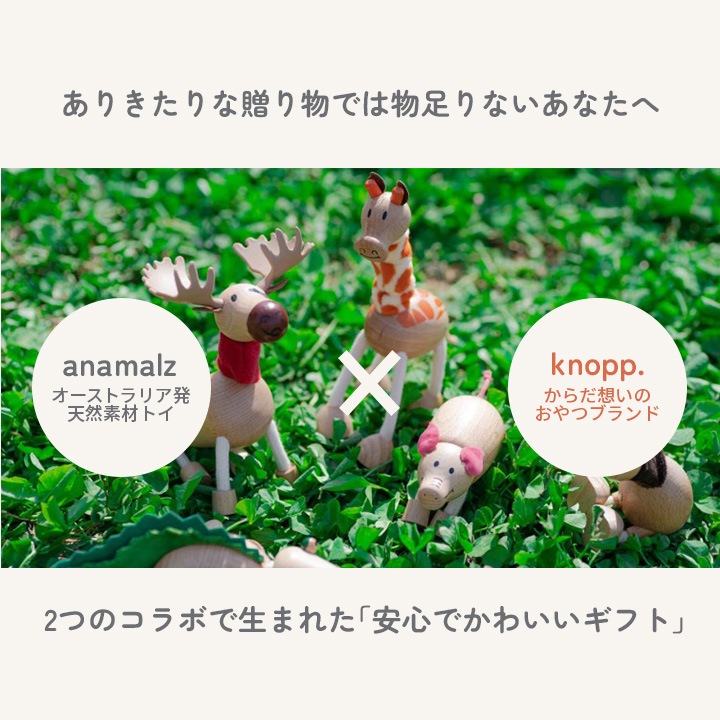 Anamalz&knopp. どうぶつとおやつのかわいいギフト 選べる 木のおもちゃ