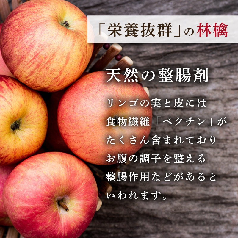 【季節限定】富山県魚津産りんご 20g×5袋セット 合計100g 国産ドライフルーツ