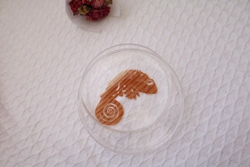 �ڤ골 ����쥪��in the bottle