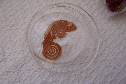 �ڤ골 ����쥪��in the bottle