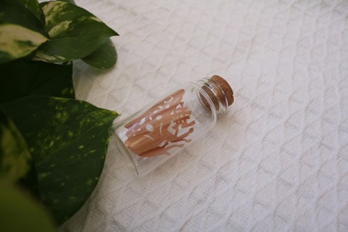 �ڤ골 �� in the bottle