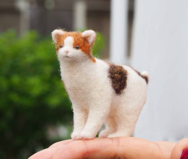 �̤ꤹ����λ���ǭ