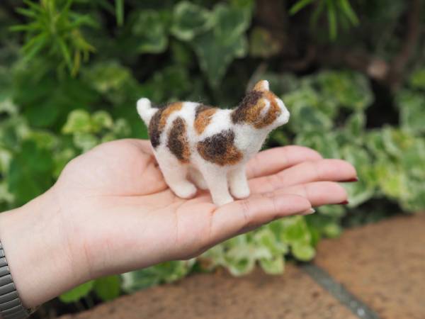 �̤ꤹ����λ���ǭ