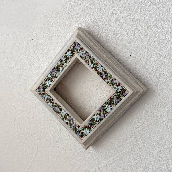 �ե��ȥե졼��֥ߥ塼�ȥ��顼�β־����