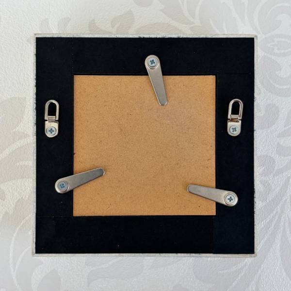 �ե��ȥե졼��֥ߥ塼�ȥ��顼�β־����