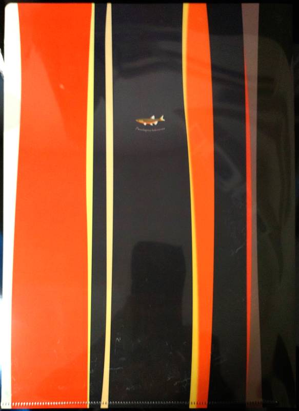 ��Ż���ꥢ�ե����롡�������ʺ�������/���ĥ�/�ĥΥ���