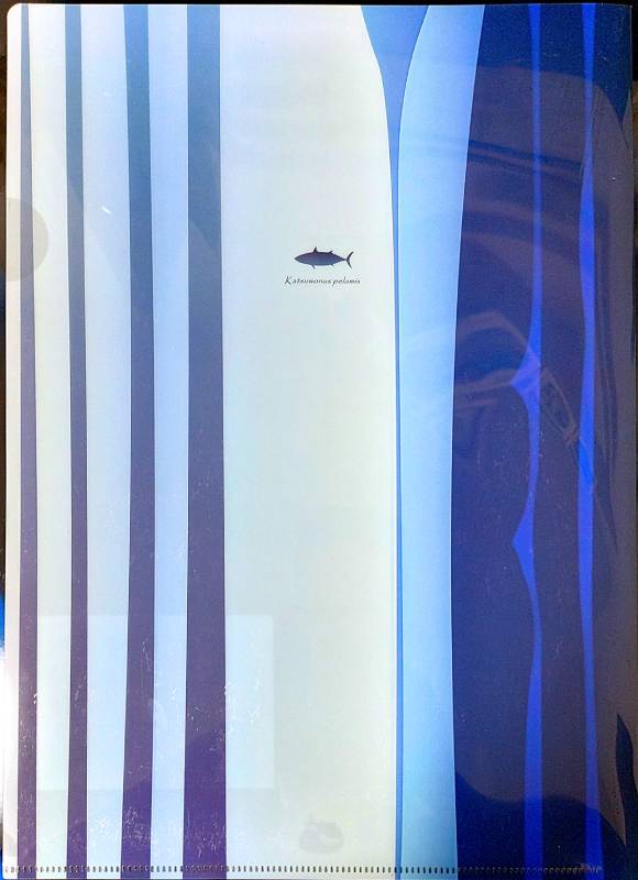 ��Ż���ꥢ�ե����롡�������ʺ�������/���ĥ�/�ĥΥ���