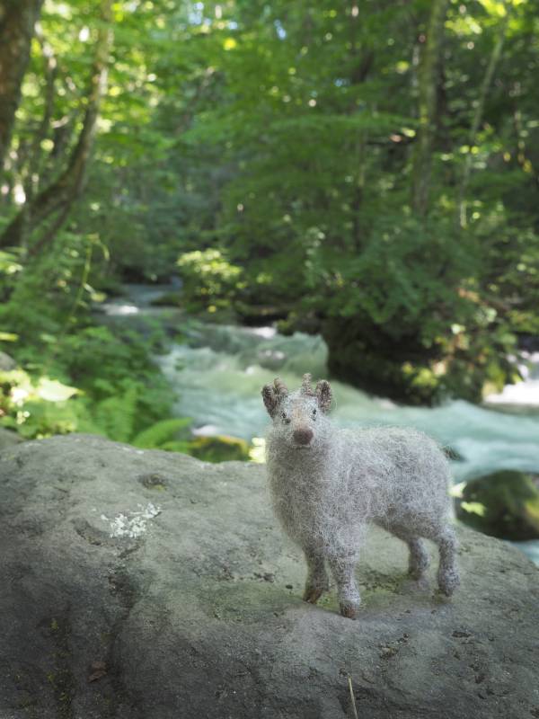 ���ܥ��⥷��