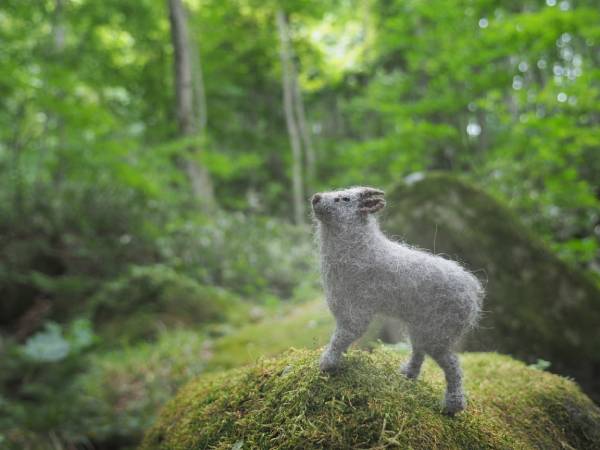 ���ܥ��⥷��