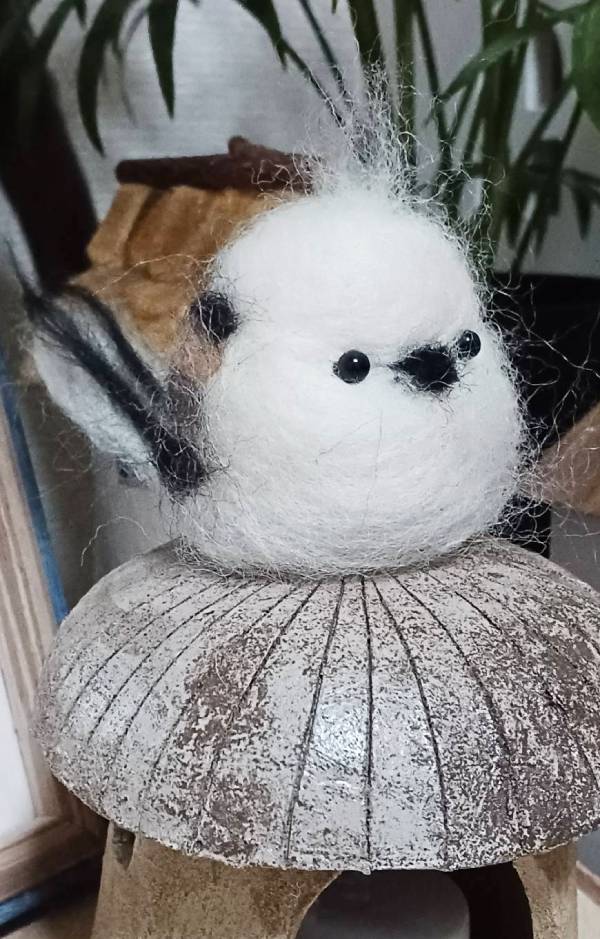 �ɤ��������ޥ��ʥ�