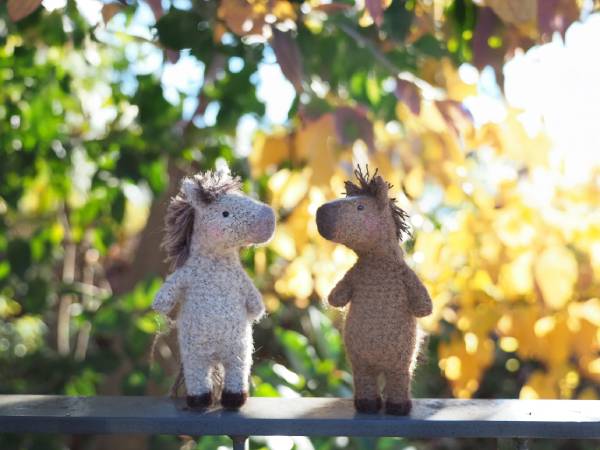 �Τ󤭤ʻ���