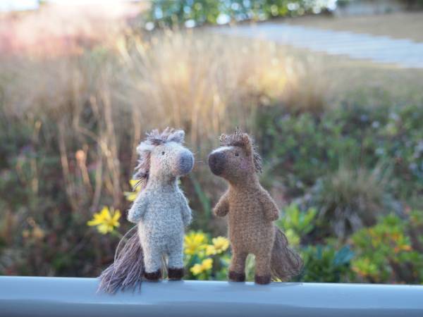 �Τ󤭤ʻ���